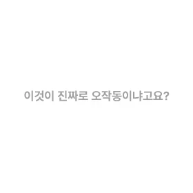 셴야 님!2